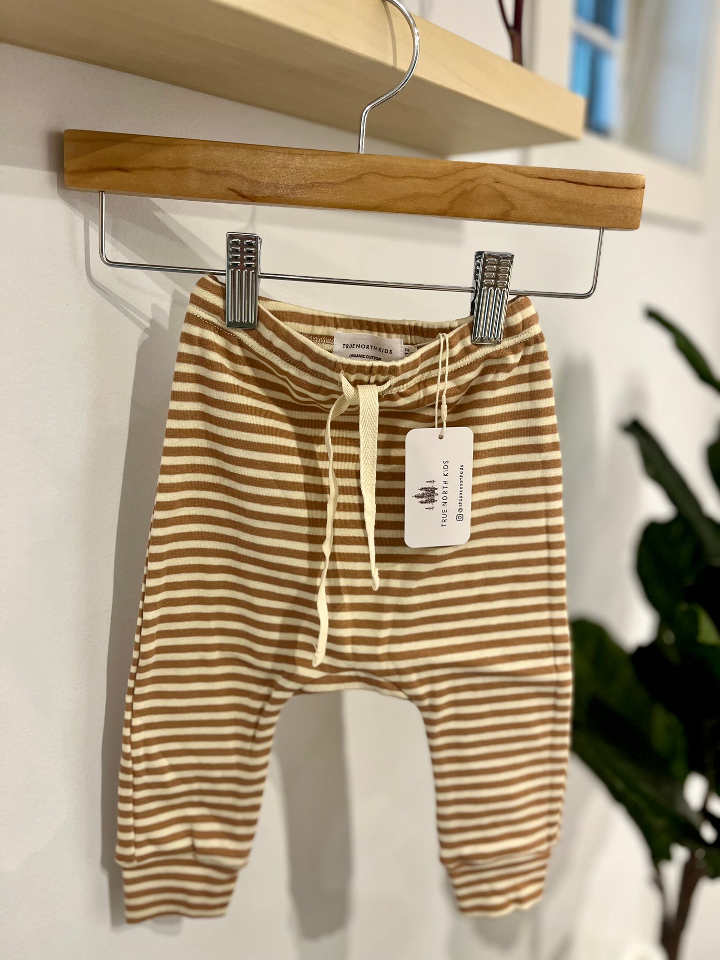 Organic Infant Pant Stripe