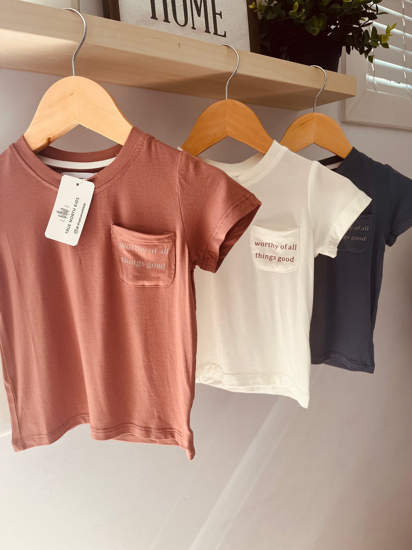 Worthy Bamboo Pocket Tee Brick