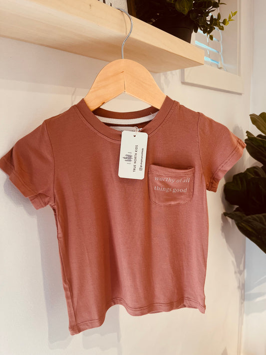 Worthy Bamboo Pocket Tee Brick