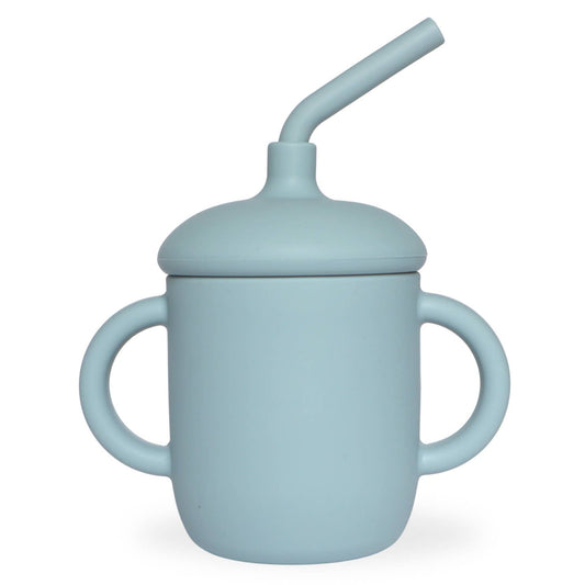 Sippy Cup Spill-Proof : Dusty Teal