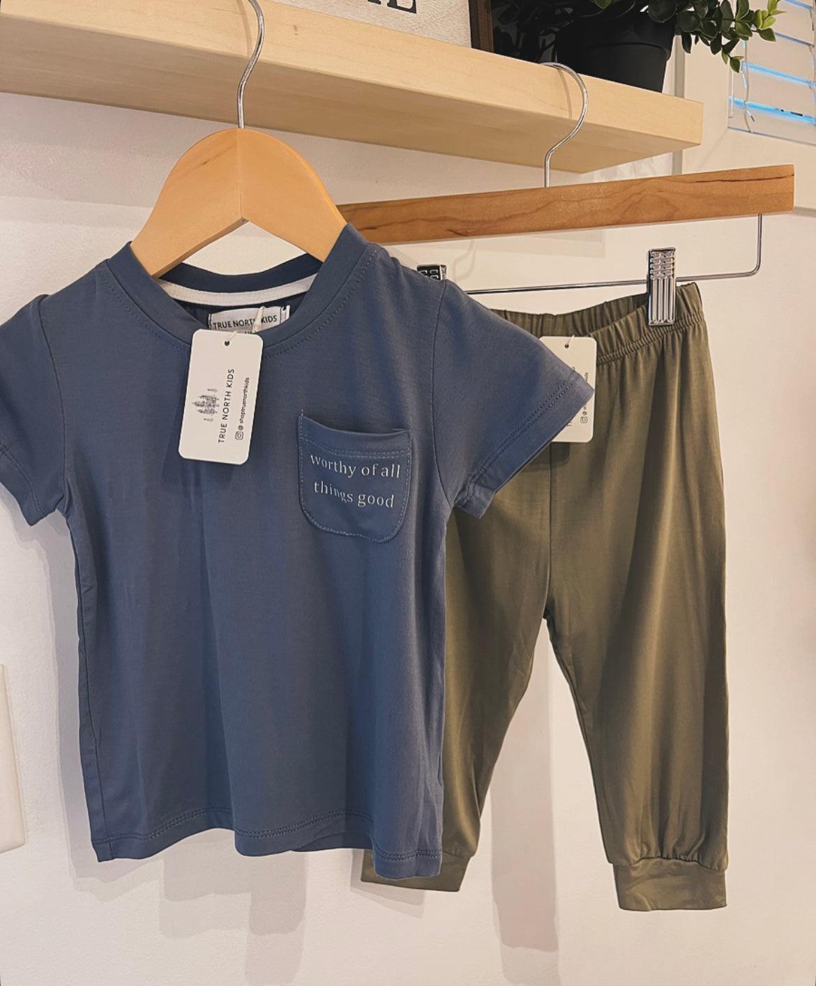 Lounge Bamboo Pants Sage